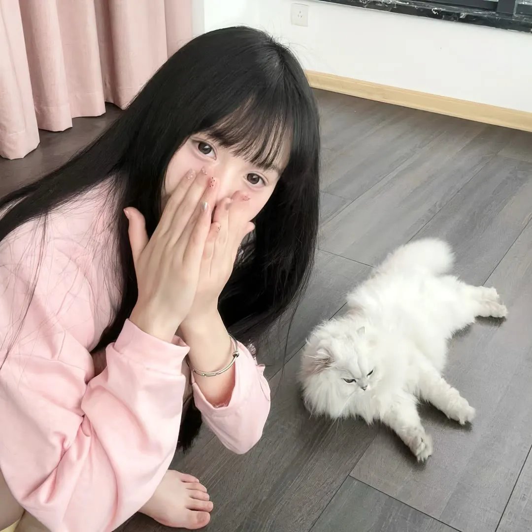 机智牢房生活